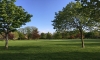 2. Basic + Overlooking Park Subscription