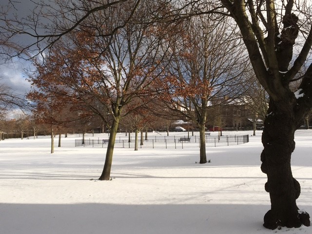 snow 2