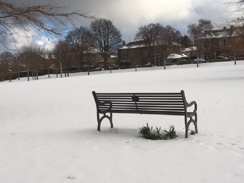 snow bench